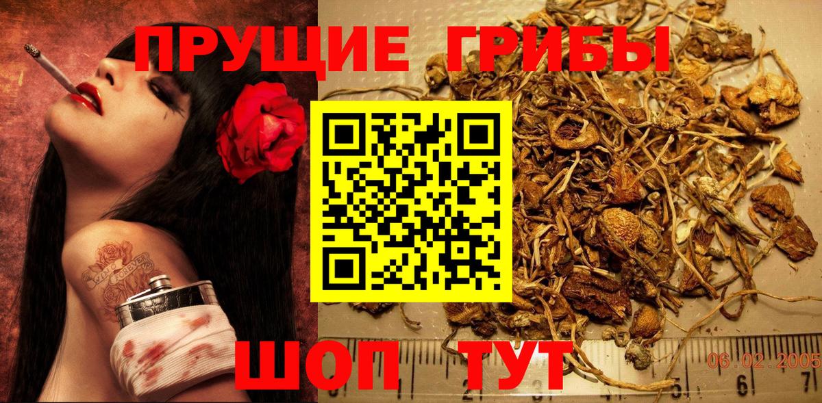 Галлюциногенные грибы GOLDEN TEACHER  Псилоцибиновые грибы Psilocybe  Вход с VPN  Ханты-Мансийск 